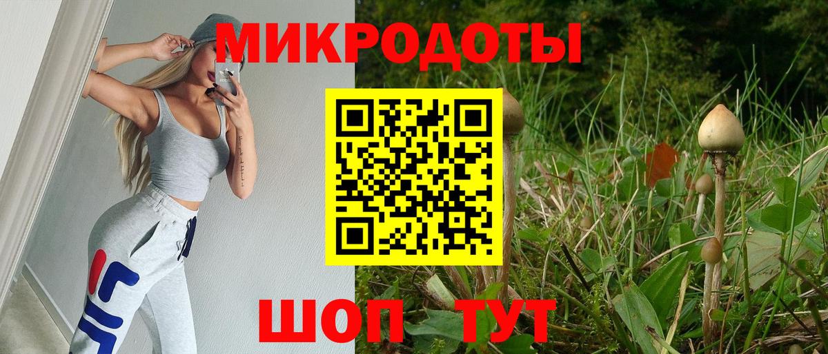 Псилоцибиновые грибы мухоморы Новосибирск