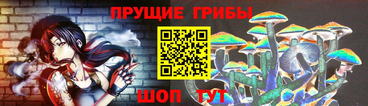 Псилоцибиновые грибы MAGIC MUSHROOMS  Вход с VPN  Новосибирск 